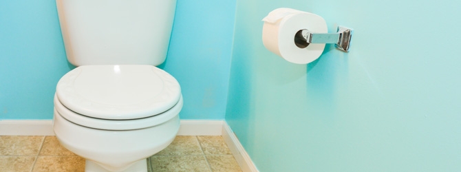 toilet