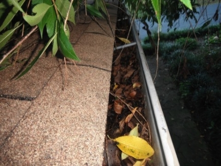 leaf-filled gutter on house