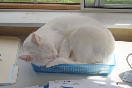 Less mental clutter can equal more quality sleep time, says Thorton. (Photo by Organized for Life)
