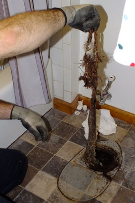 drain cleaning tips drain cleaning tips