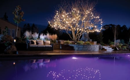 LED lights thrown across a tree provide light for a nearby swimming pool