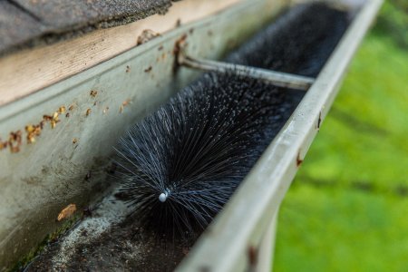 Whisker gutter guard inside a gutter