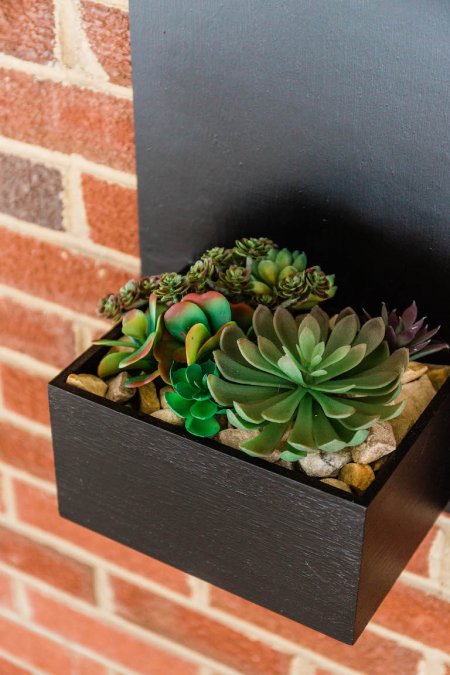 succulent plant in black square box attached to red brick wall (Photo by © Carrie Waller)