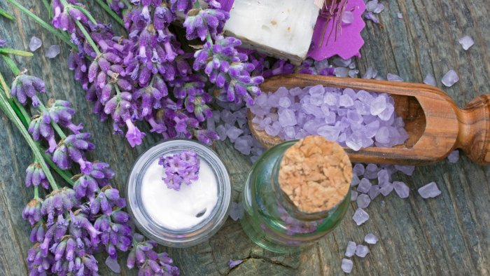 lavender