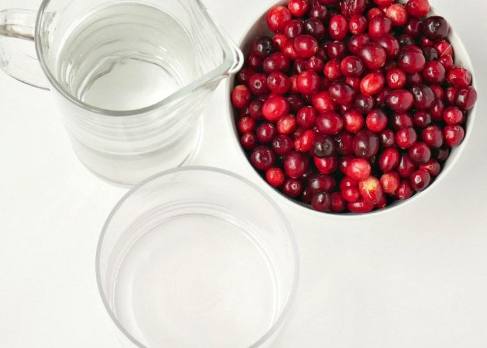Make sure to grab fresh cranberries for your holiday floral arrangement. (Photo by Taryn Whiteaker/Design, Dining and Diapers)