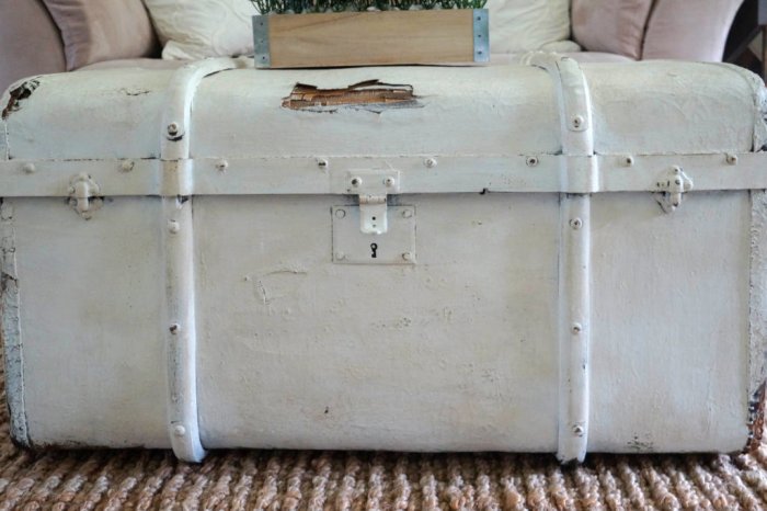 Some nicks and imperfections in the trunk will help enhance the rustic charm of your coffee table. (Photo by Deb Foglia)