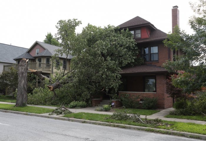Tree down on house