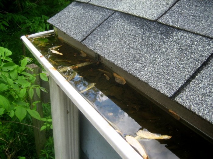 clogged gutter downspout