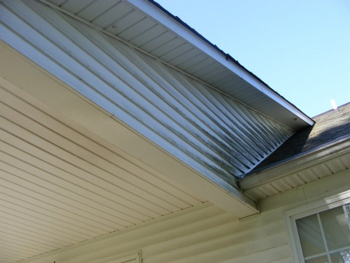 white vinyl siding with mildew near roof