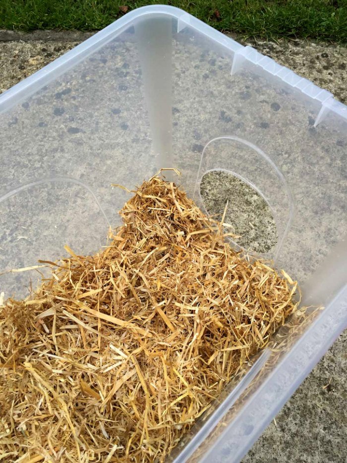 making DIY feral cat shelter