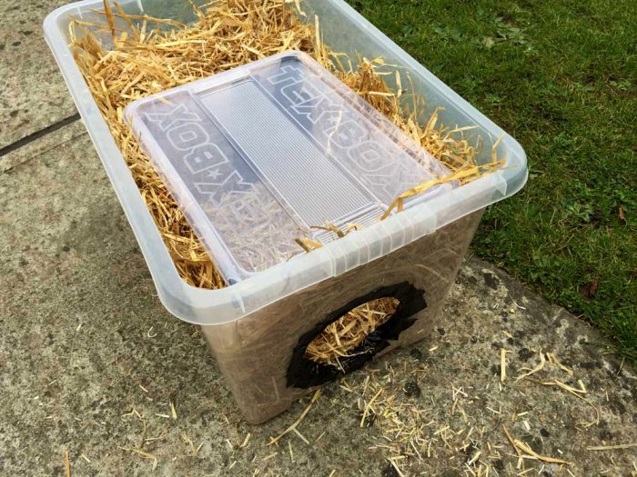 making DIY feral cat shelter