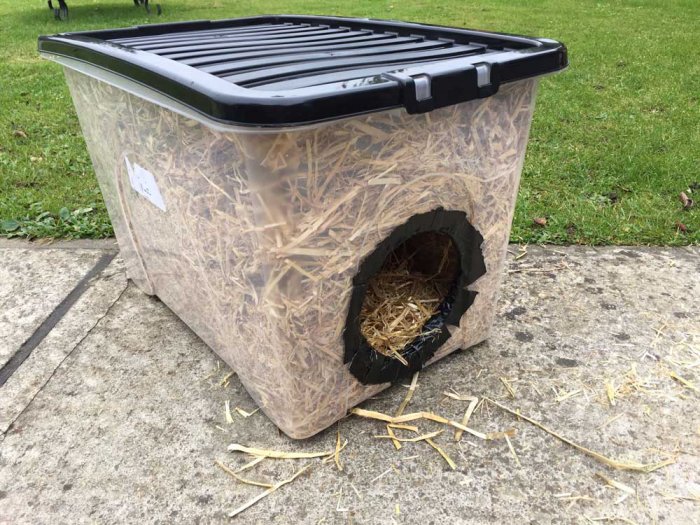 making DIY feral cat shelter