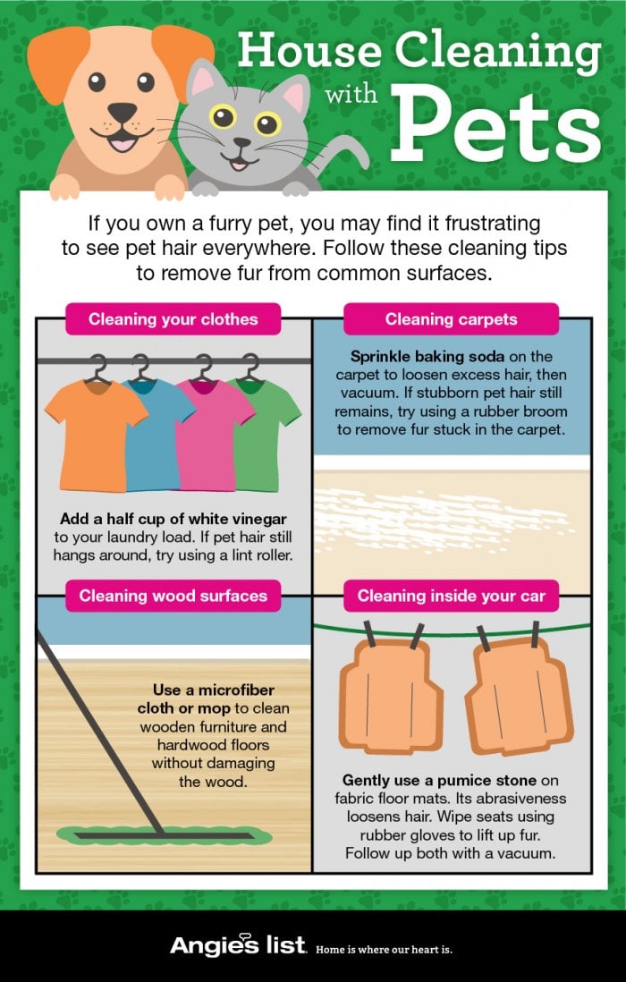 house cleaning with pets infographic