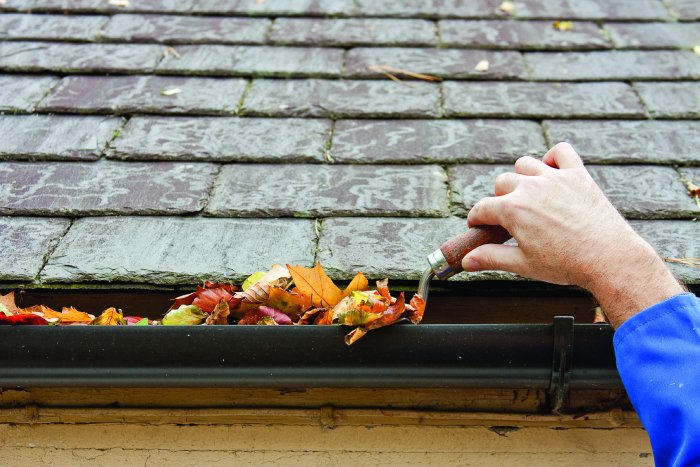 scooping leaves out of a gutter