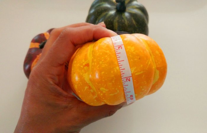 measuring craft pumpkins with tape measure