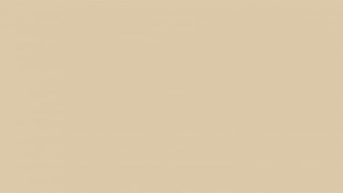 monroe bisque paint color