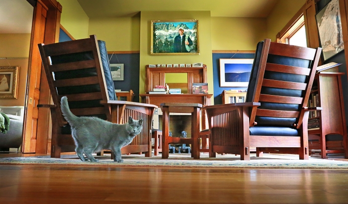 a home in Indianapolis' Old Northside