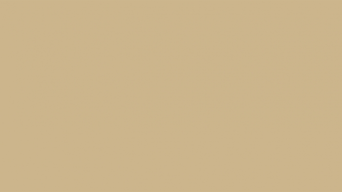 shelburne buff paint color