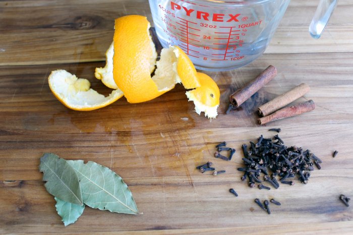 spiced orange simmer pot
