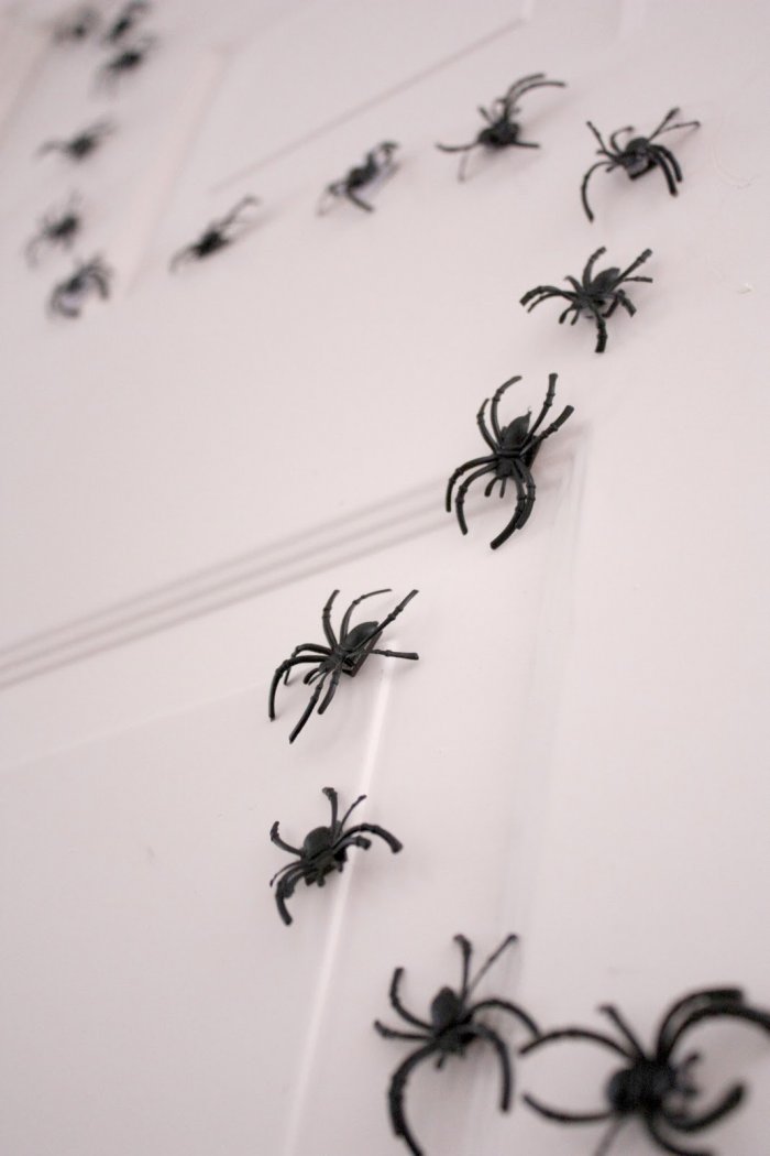 spider trail on door