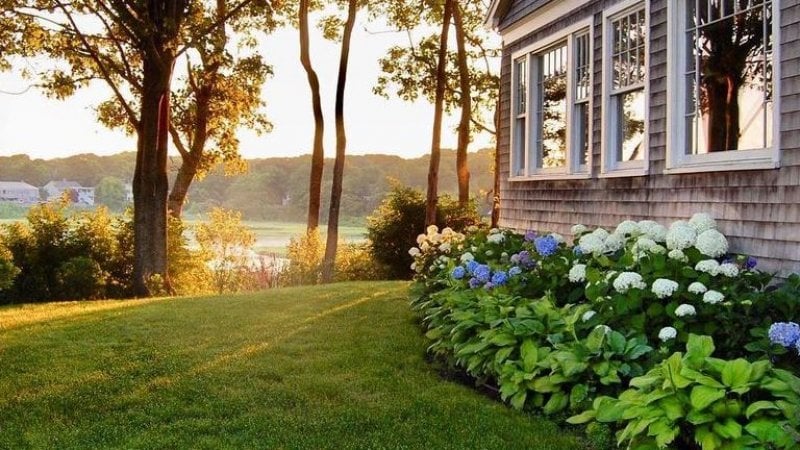 Side of home and yard with flowers next to siding