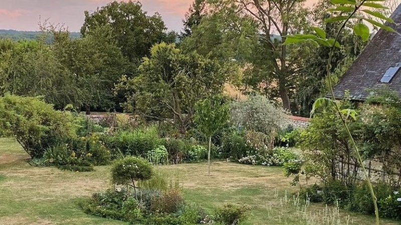 Backyard with landscaping beds, trees, and plants