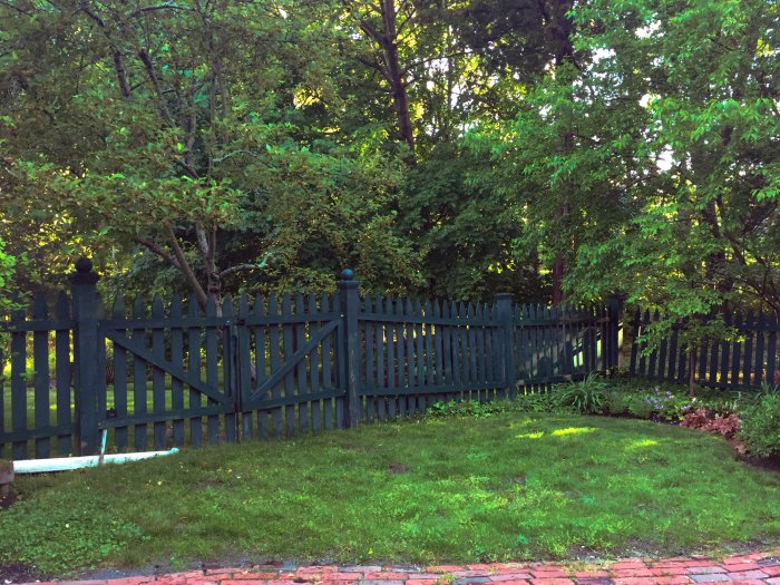 New grass drastically improves the lawn. (Photo courtesy of Melissa Caughey/Tilly's Nest)