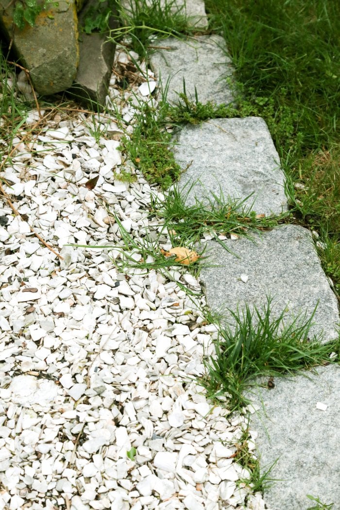 Weeds can get into the smallest of spaces. (Photo courtesy of Melissa Caughey/Tilly's Nest)