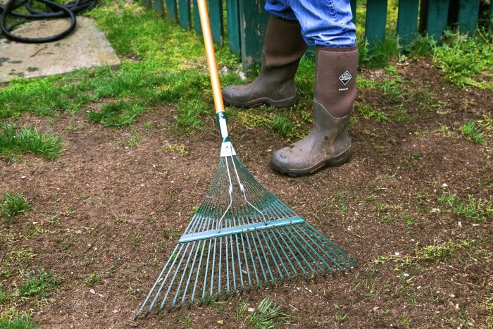 Rake out any dead grass, stones, sticks and weeds before reseeding. (Photo courtesy of Melissa Caughey/Tilly's Nest)