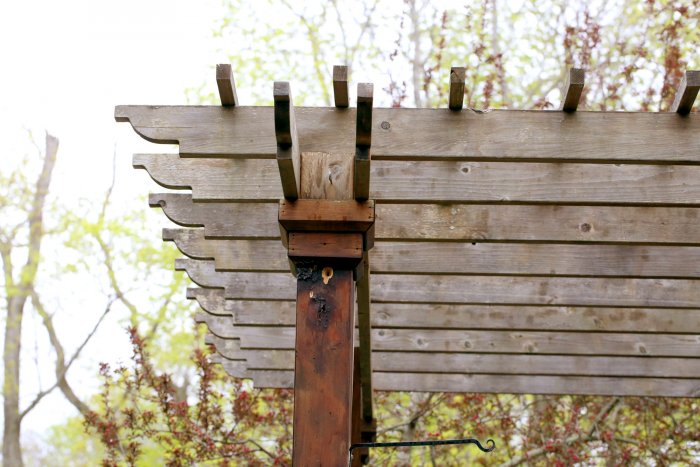 The pergola was in a very poor condition and not very attractive. (Photo courtesy of Melissa Caughey/Tilly's Nest)