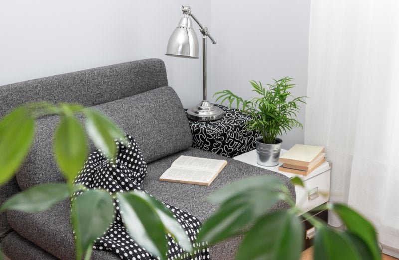 bedroom corner with sofa (Photo by Studio Light and Shade/iStock via Getty Images)