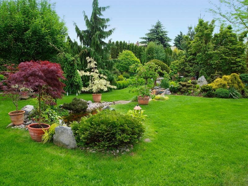 Beautifully landscaped yard Beautifully landscaped yard (Photo by domin_domin/E+ via Getty Images)