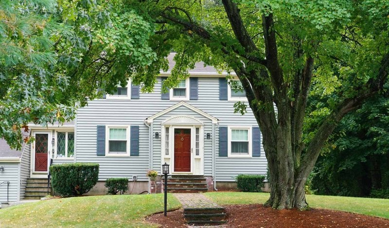 Green tree in front of house (Photo by nd700 - stock.adobe.com)