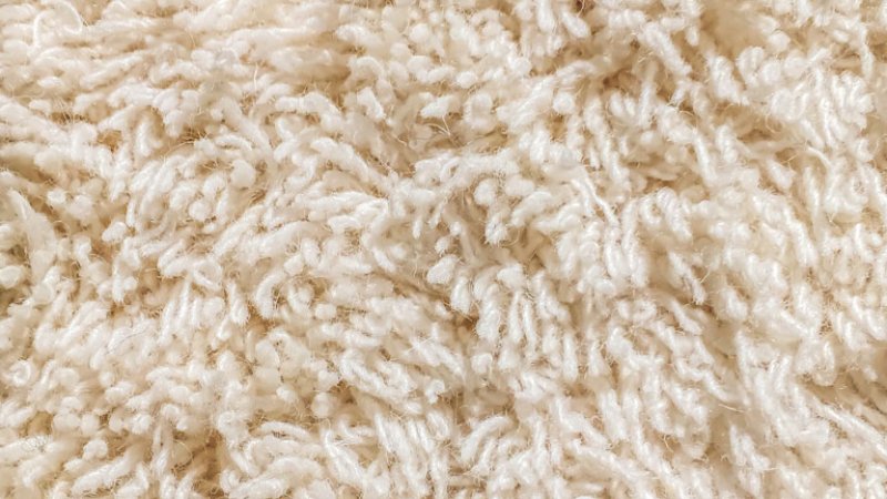 cream cut carpet pile closeup on texture