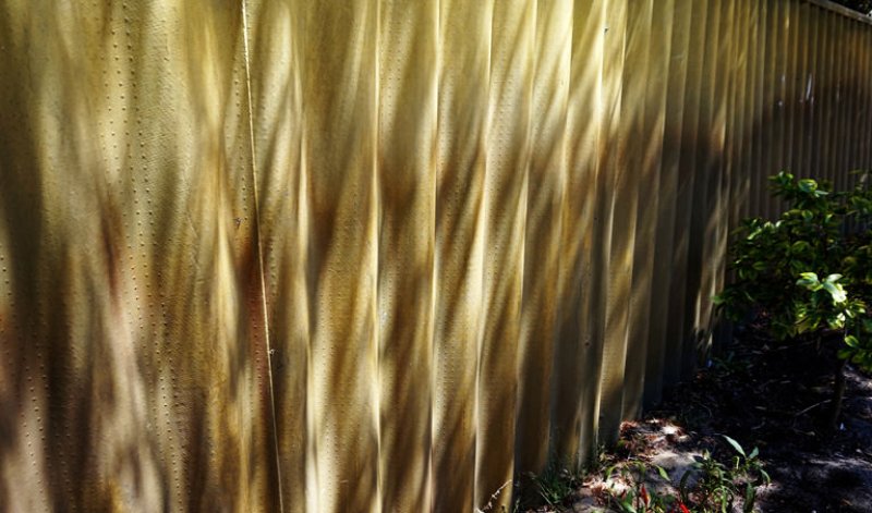 A sunlit corrugated fence in a garden (Photo by Pang Zim Yee / EyeEm/EyeEm via GettyImages)