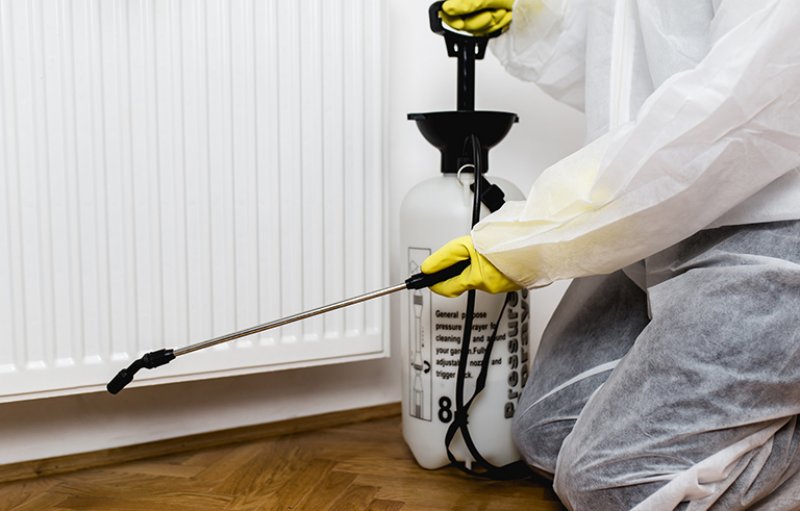 exterminator sprays kitchen baseboards (Photo by Group4 Studio via iStock / Getty Images Plus)
