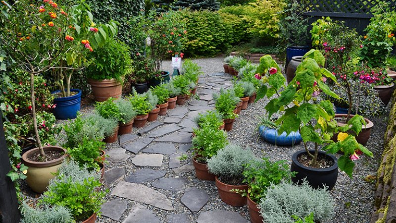 2021 Flagstone Guide S By Type Angi Angie List Flagstone S, Cost Of Flagstone Patio Per Square Foot