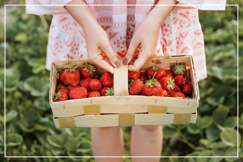 woman holding a basket of strawberries (Photo by Damian Lugowski/Shutterstock.com)