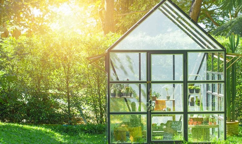 Greenhouse in a home garden (Photo by Quality Stock Arts - stock.adobe.com)