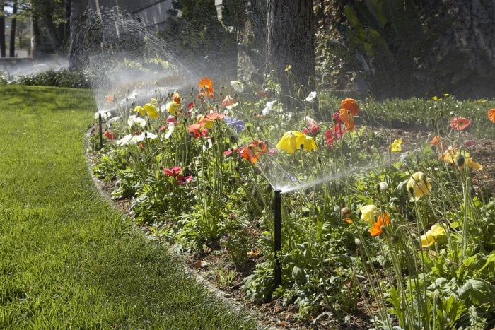 Line up your favorite flowers for a natural-looking border. (Photo courtesy of Hunter Industries)