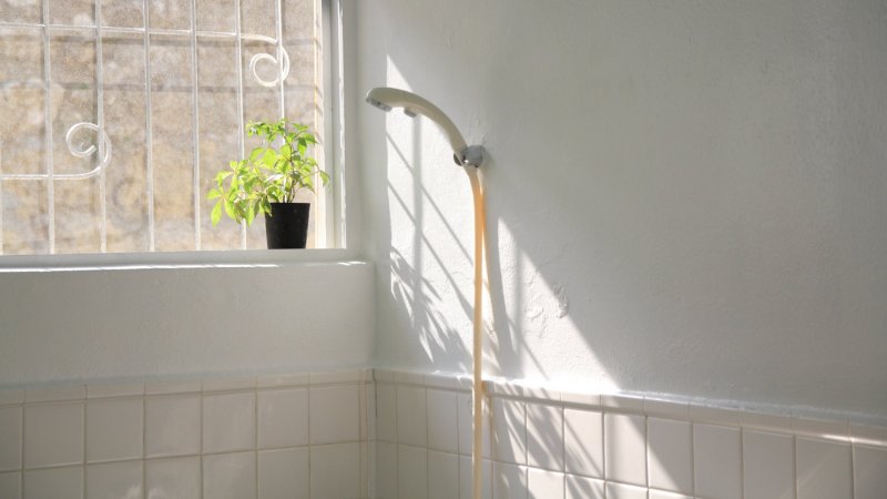A sunlit handheld shower head (Photo by masayukisesoko/RooM via Getty Images)