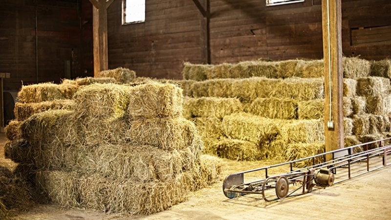 The interior of a pole barn with hay bales The interior of a pole barn with hay bales (Photo by Elenathewise - stock.adobe.com)