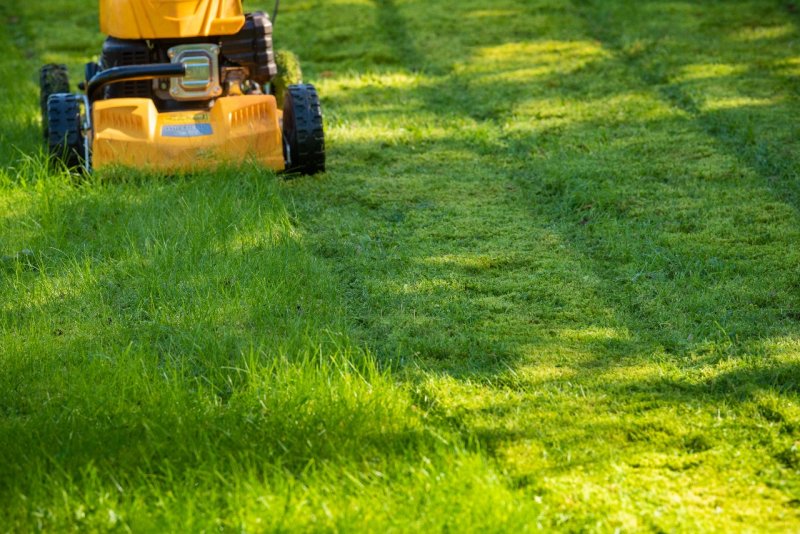 2021 Lawn Mowing Price Guide Cost To Mow A Lawn Per Hour Or Acre Angi Angie S List