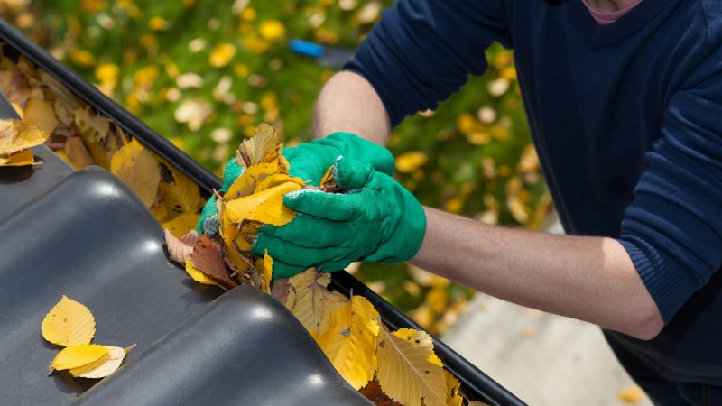A man cleaning the gutter from leaves (Photo by Photographee.eu - stock.adobe.com)