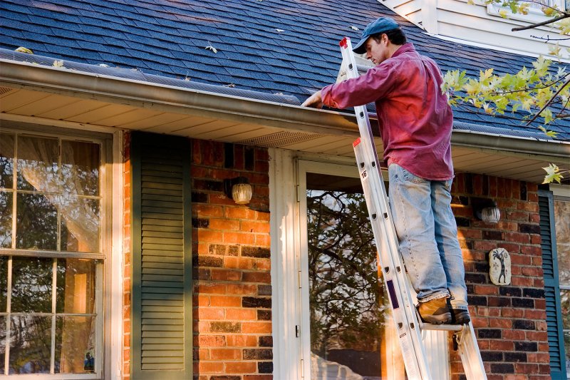 man cleaning gutter on roof (Photo by gmcgill - stock.adobe.com)