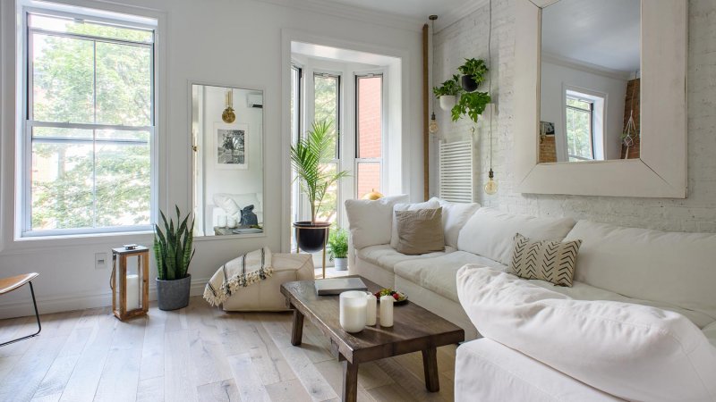 Room with plants (Photo by Cavan Images / Cavan via Getty Images)