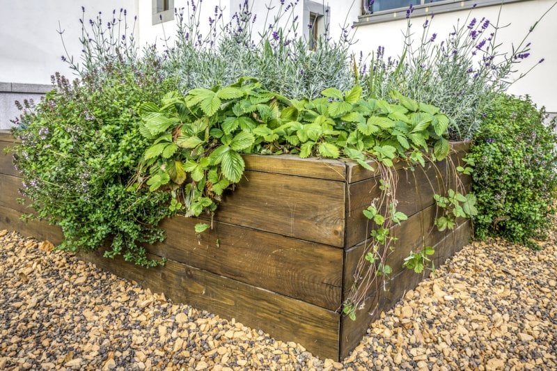 a raised bed of green plants (Photo by © Jurgita Vaicikeviciene / EyeEm/Getty Images.)