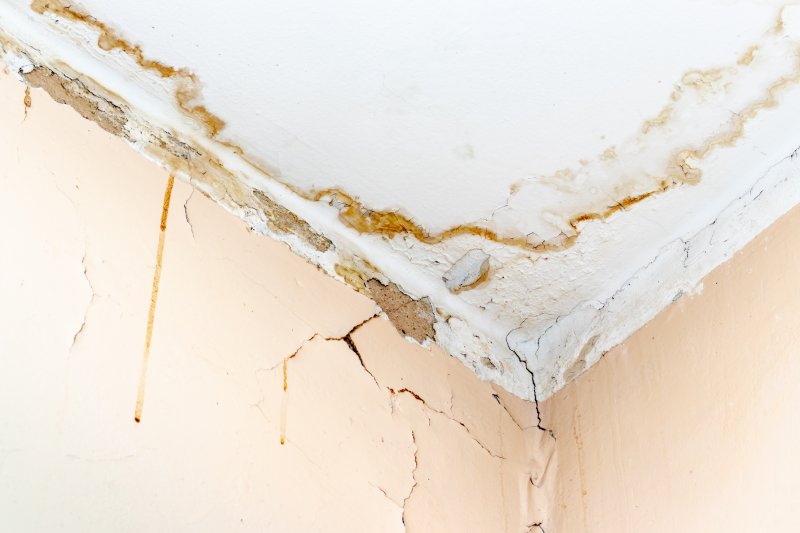 A ceiling and a wall with severe water damage (Photo by ReaLiia - adobe.stock.com)