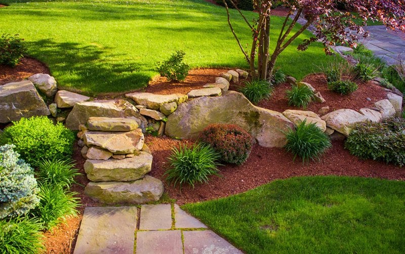 Stone stairs with bushes Stone stairs with bushes (Photo by CharlieTurchetta/iStock/Getty Images Plus via Getty Images)