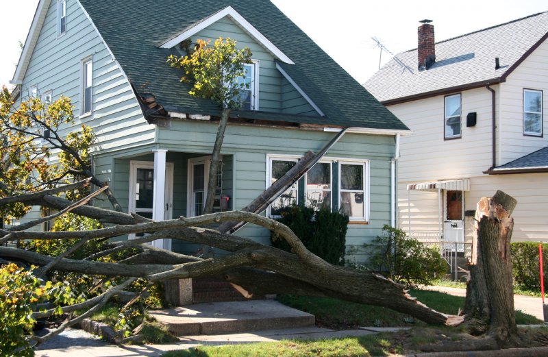tree falls down on house in front yard (Photo by Jim Lopes/Shutterstock.com)